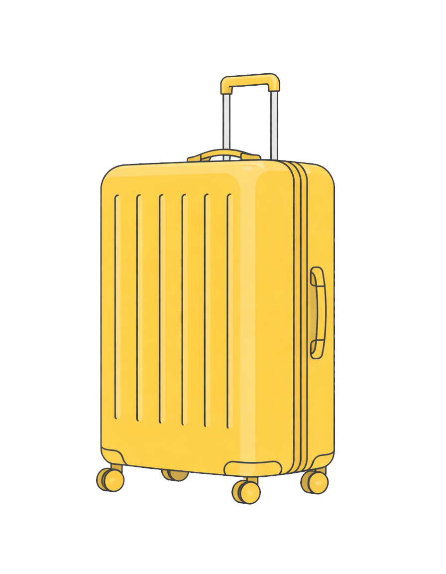 Bagage soute
